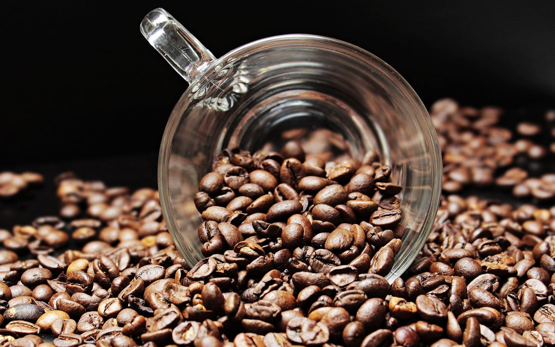 Brewing the Future: How Kenyan Coffee Culture is Redefining Hospitality