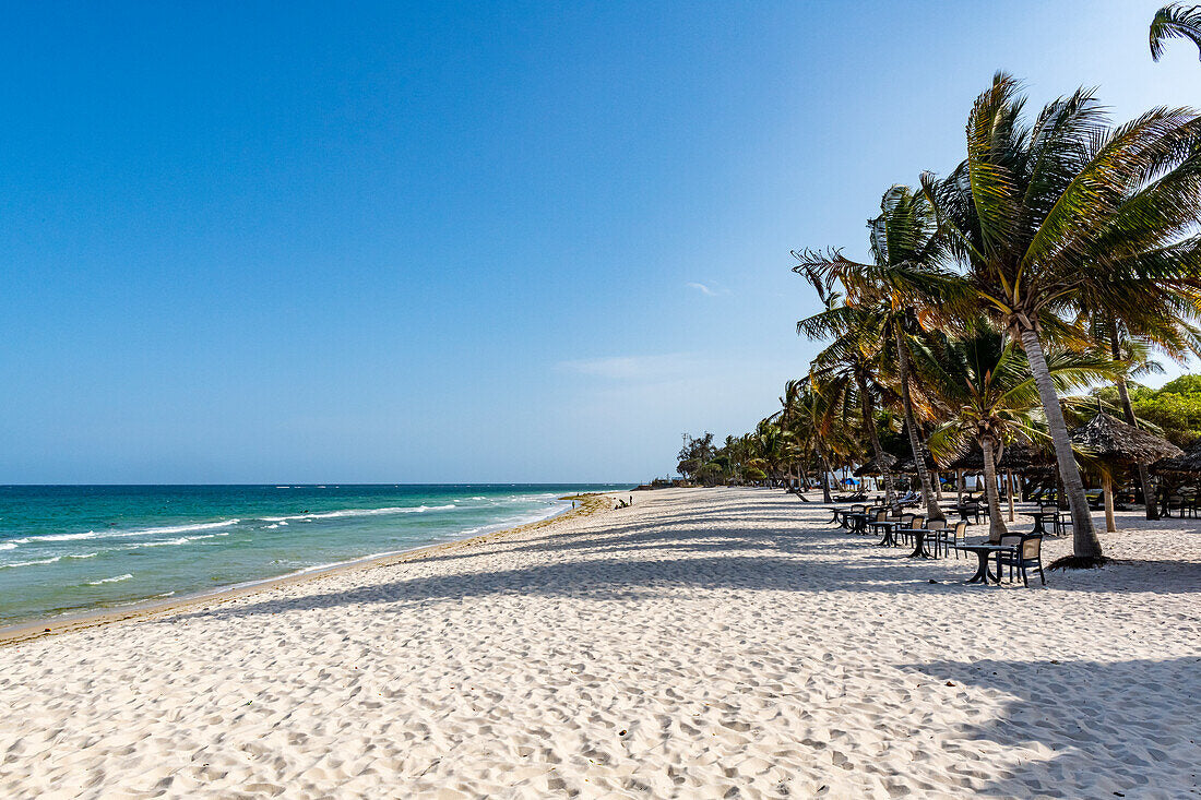 From Savannah to Sea to City: How Karen Plains Hotel Curates Your Complete Kenya Experience