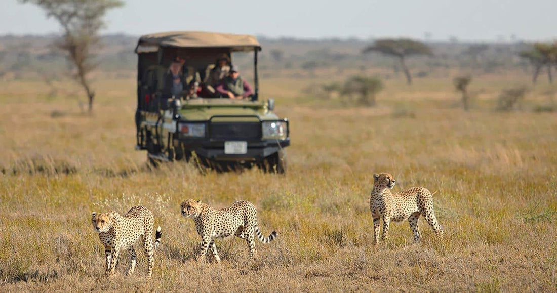 Nairobi to Cape Town: 57-Day Trek
