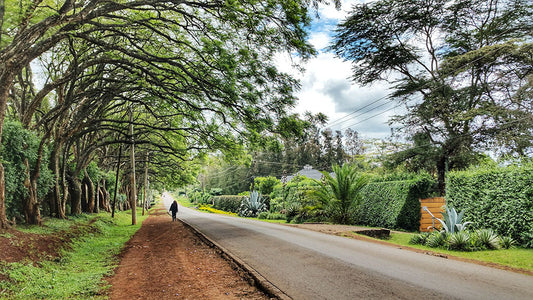 Karen: Nairobi's Most Romantic Suburb - Karen Plains Hotel