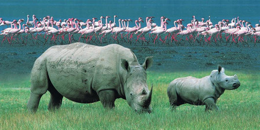 16-Day East Africa Safari: Nairobi