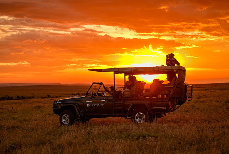 From Karen to the Mara: Starting Your Safari the Right Way