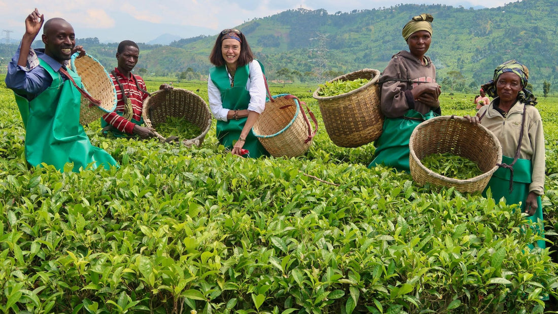 Agritourism: The Finest Farm Stays in Kenya