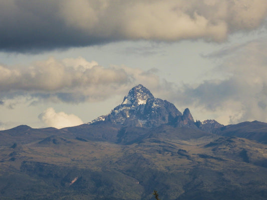 Slow Travel in Nairobi: Rest & Renew