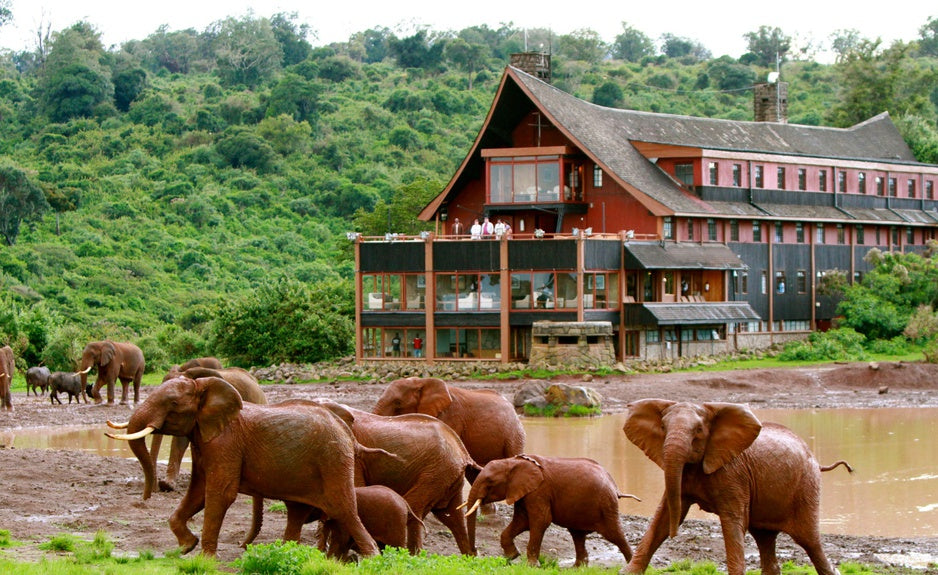 Discover Aberdare National Park: Kenya’s Hidden Highland Safari