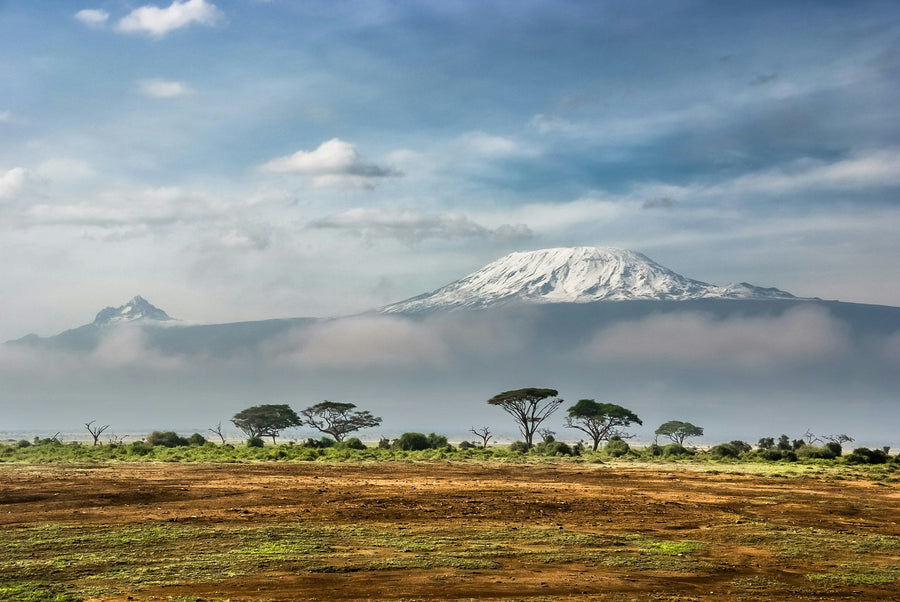 Coming Home to Kenya: Why Diaspora Are Choosing Nairobi—And Where to Stay When You Test the Waters