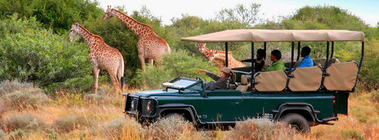 Where to Stay in Nairobi, from Boutique Hideaways to Artistic Sanctuaries