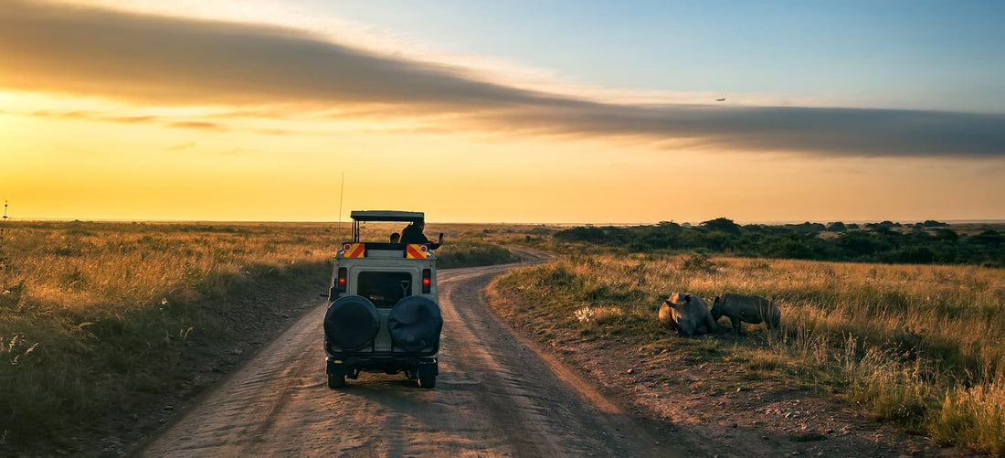 A Perfect One-Day Nairobi Experience, Seamlessly Arranged