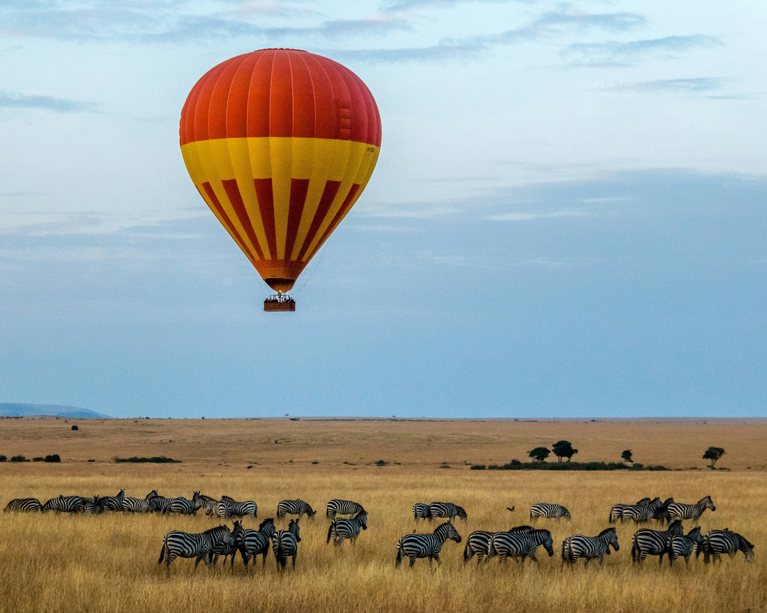 Wildebeest Migration: Book Early