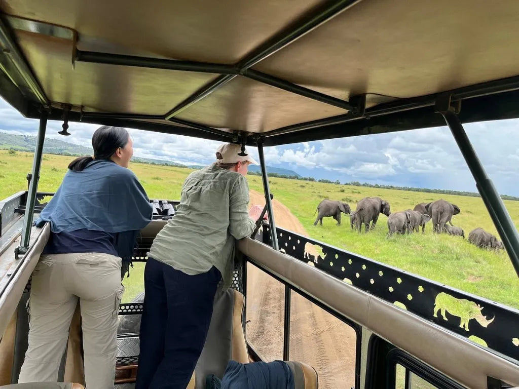 Private Nairobi National Park & Giraffe Centre Tour for Two (Hotel Pickup + Airport Drop-Off)
